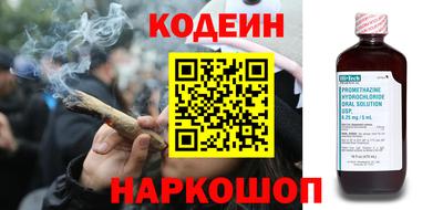 СК Кингисепп