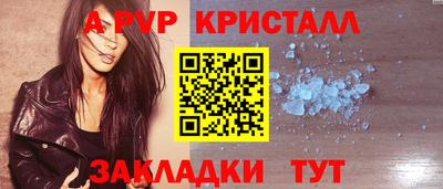СК Кингисепп