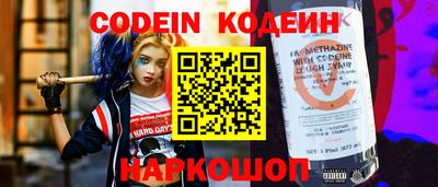 СК Кингисепп