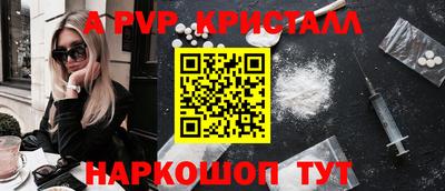 СК Кингисепп