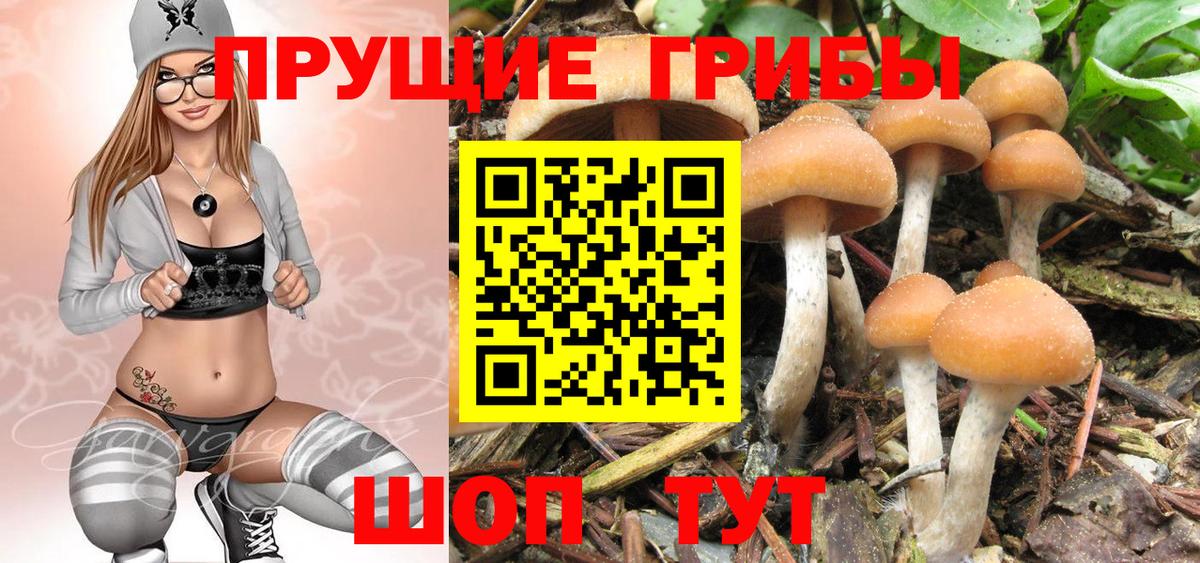 Галлюциногенные грибы MAGIC MUSHROOMS  Псилоцибиновые грибы MAGIC MUSHROOMS  Аксай  Вход с VPN 